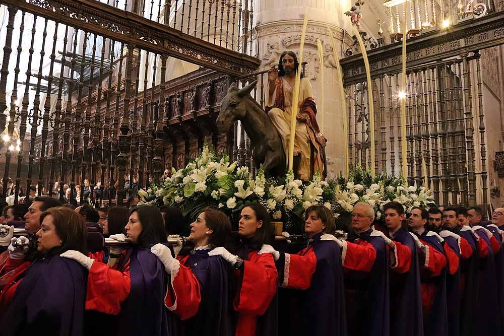 Fotos: Las imágenes de la Procesión de Jesús en La Borriquilla