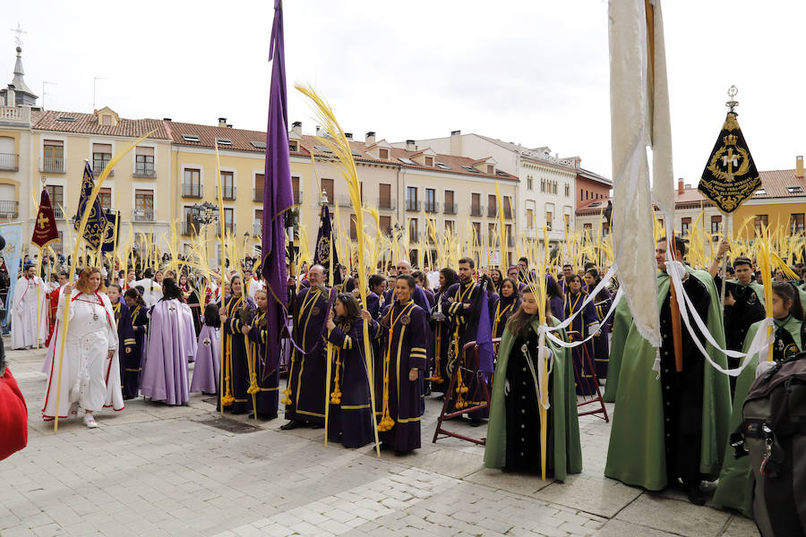 Fotos: Las imágenes de la procesión de Ramos en Palencia