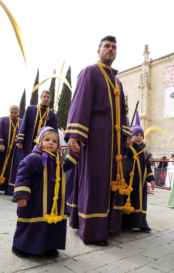 Fotos: Las imágenes de la procesión de Ramos en Palencia