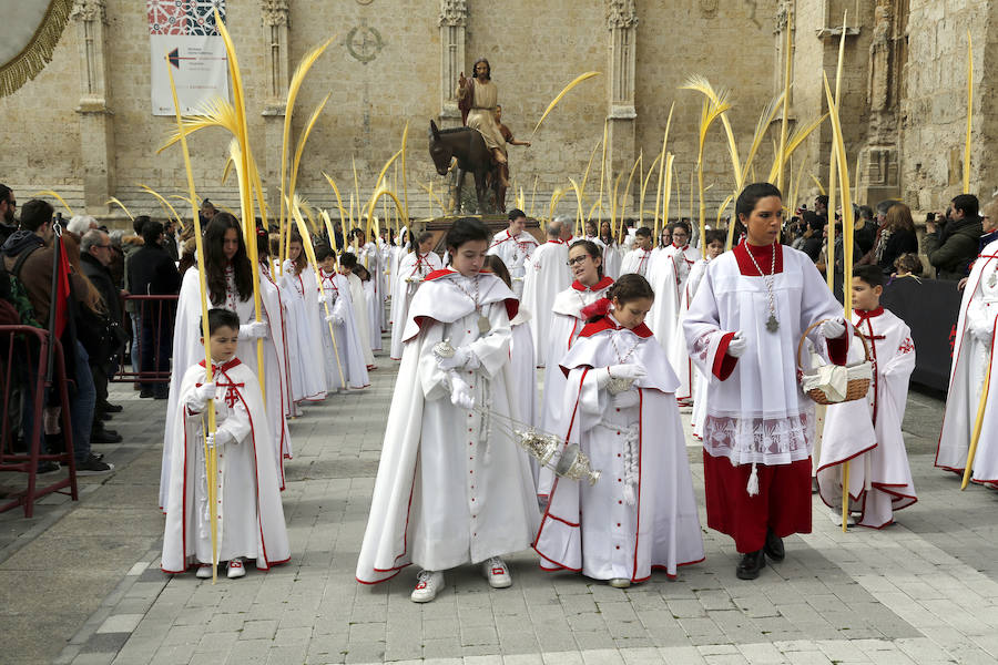 Fotos: Las imágenes de la procesión de Ramos en Palencia