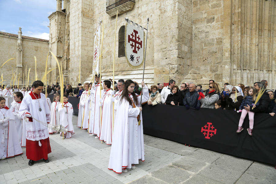 Fotos: Las imágenes de la procesión de Ramos en Palencia