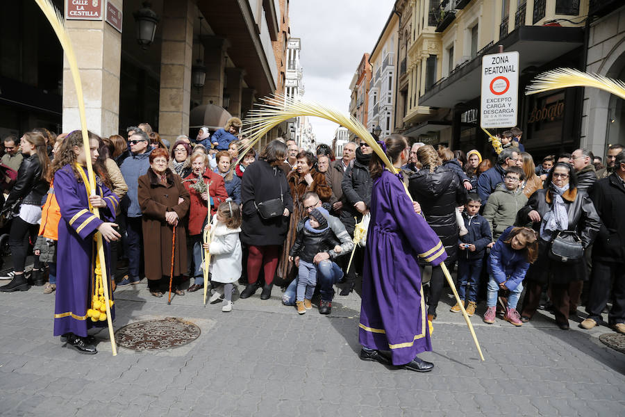 Fotos: Las imágenes de la procesión de Ramos en Palencia