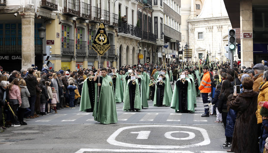 Fotos: Las imágenes de la procesión de Ramos en Palencia