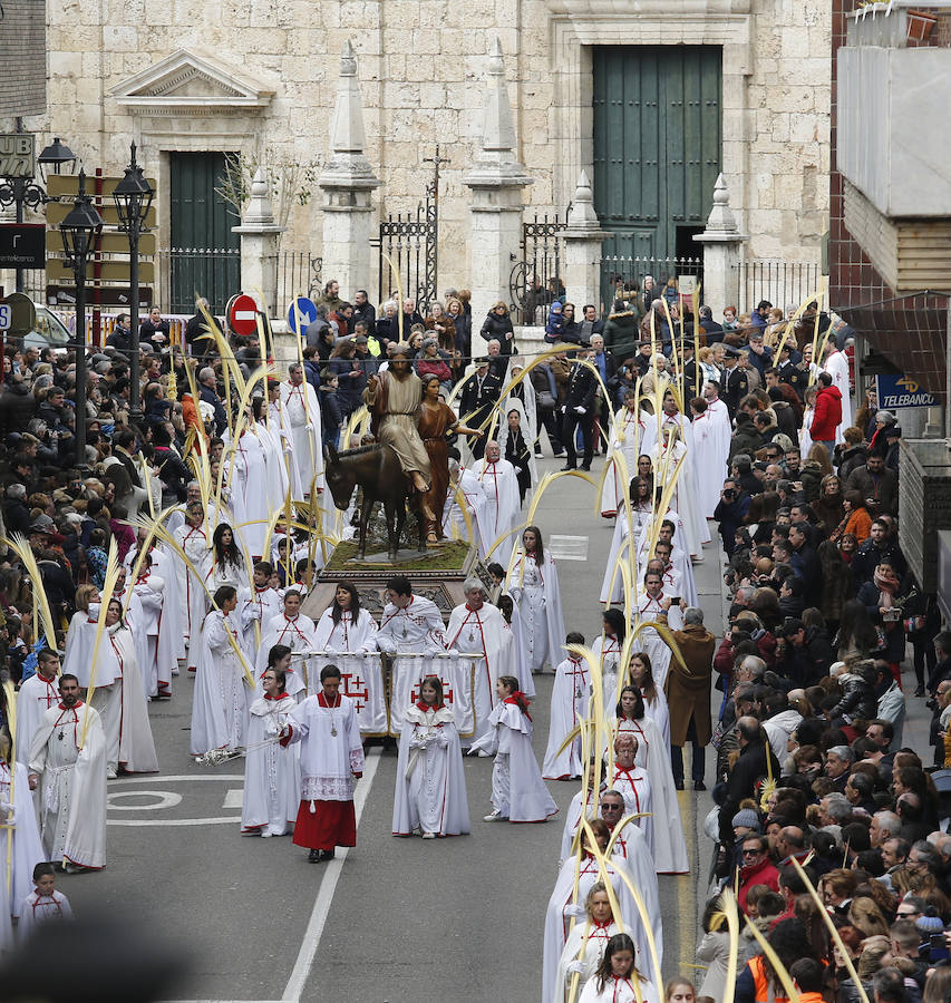 Fotos: Las imágenes de la procesión de Ramos en Palencia