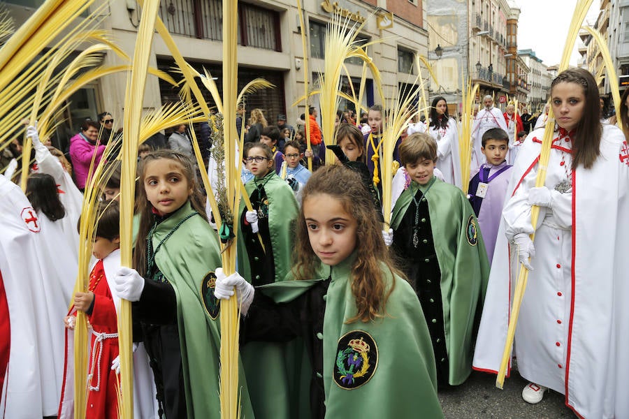 Fotos: Las imágenes de la procesión de Ramos en Palencia