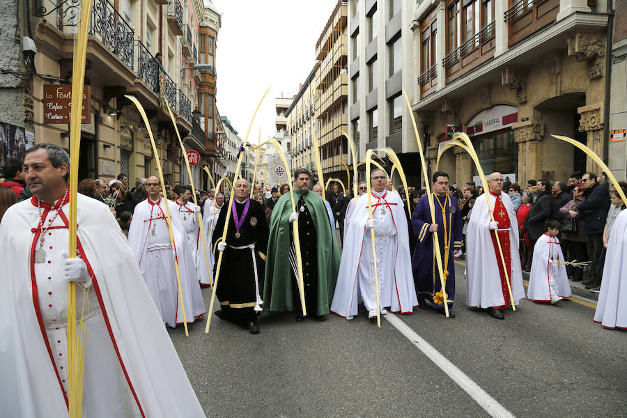 Fotos: Las imágenes de la procesión de Ramos en Palencia