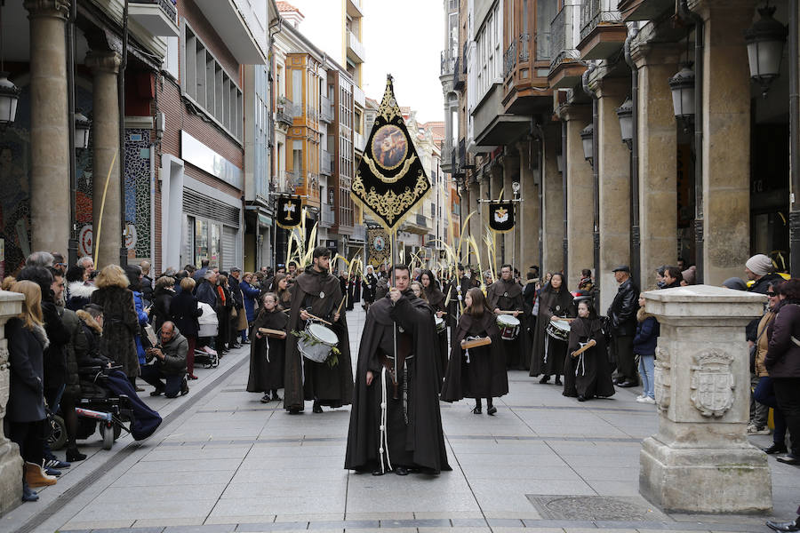 Fotos: Las imágenes de la procesión de Ramos en Palencia