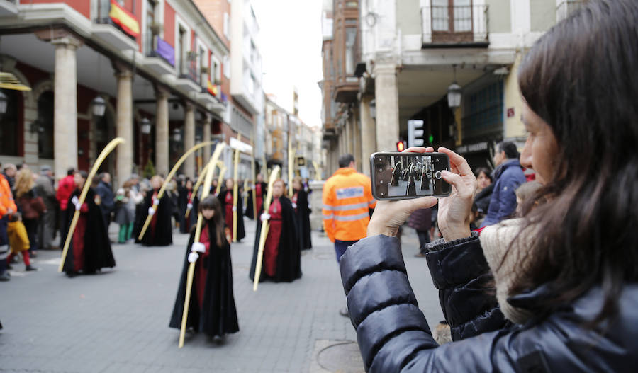 Fotos: Las imágenes de la procesión de Ramos en Palencia