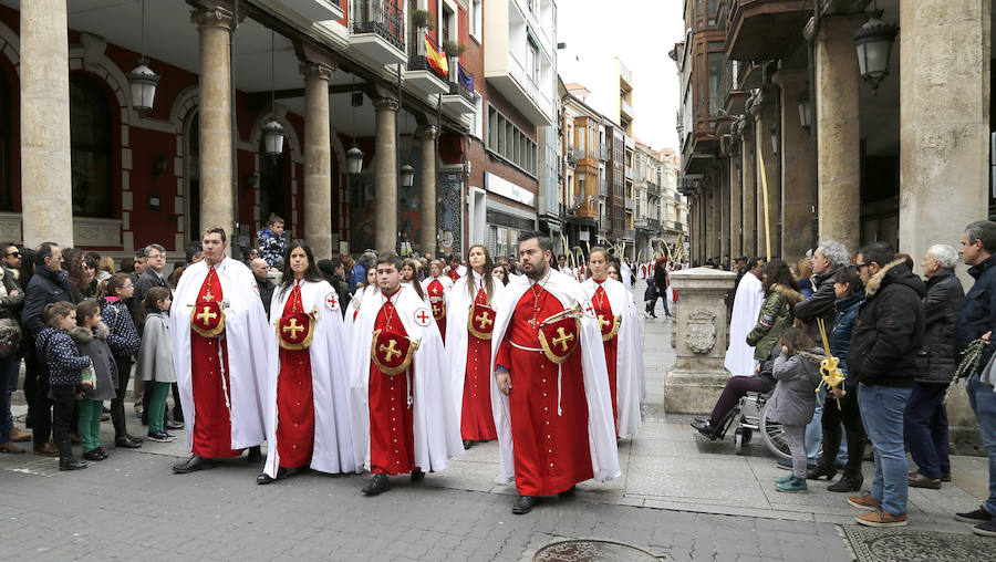 Fotos: Las imágenes de la procesión de Ramos en Palencia