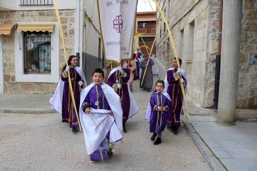 Fotos: Procesión de la Borriquilla en Baltanás