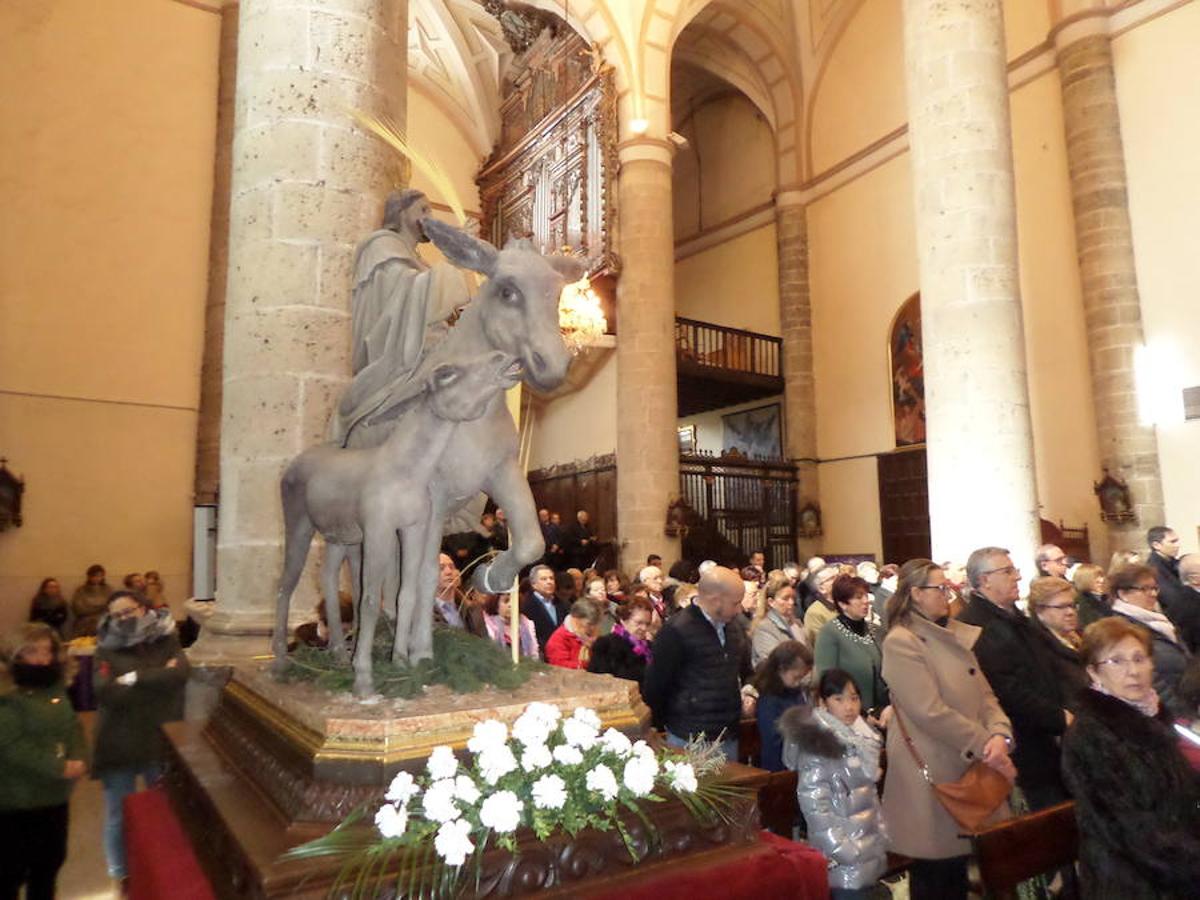 Fotos: Procesión de Ramos en Carrión de los Condes