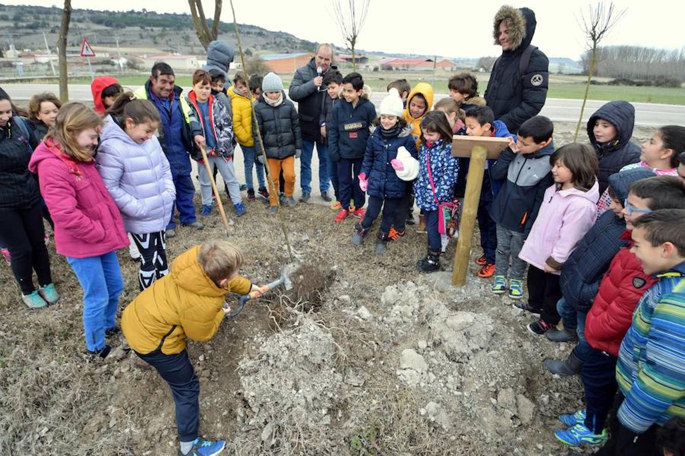 Fotos: Los escolares de Baltanás celebran el Día del Árbol