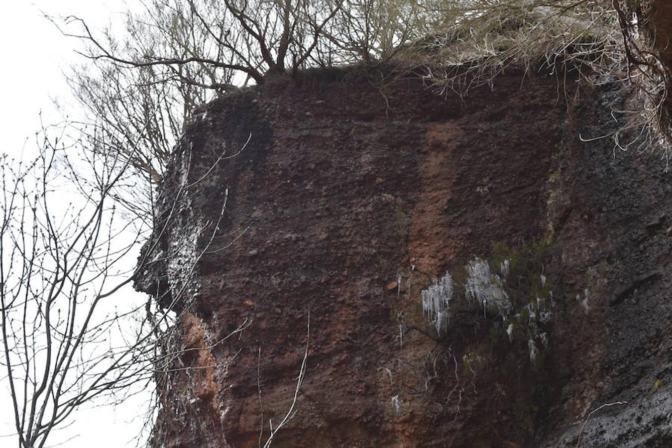 Fotos: El hielo brota de los árboles en Brañosera