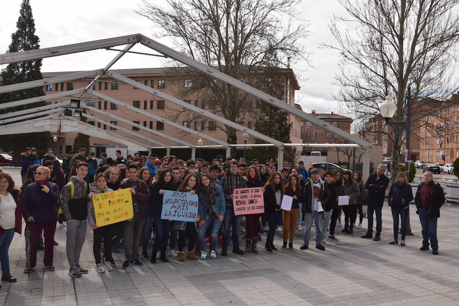 Fotos: Concentración de estudiantes en Guardo
