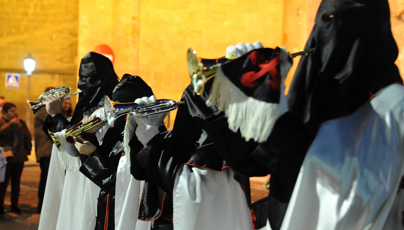 Fotos: Procesión de la Vera Cruz en Nava del Rey