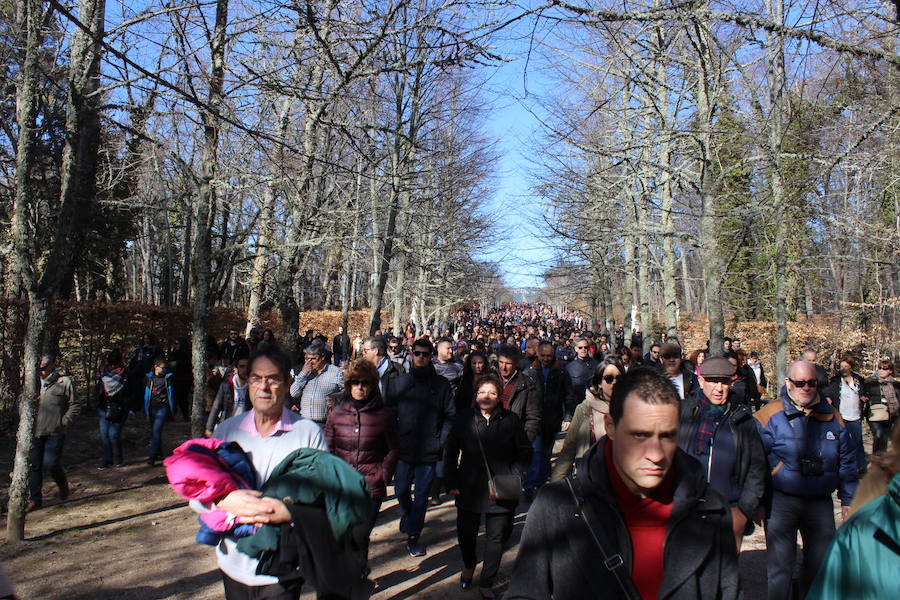 Fotos: Juegos de agua en La Granja
