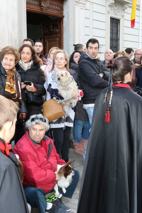 Fotos: Procesión Penitencia y Caridad