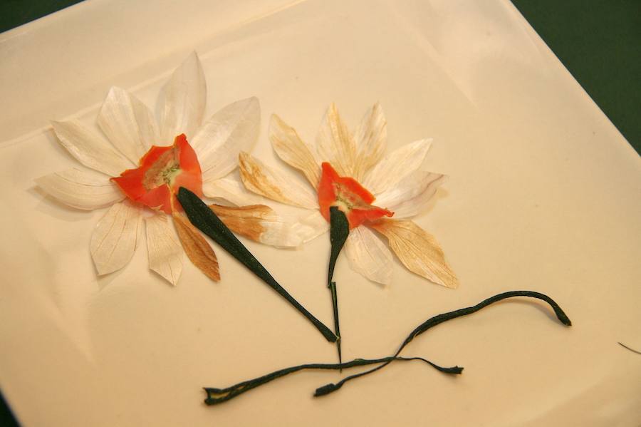 Fotos: Exposición &#039;Primeros platos&#039; en el Ayuntamiento de Viloria del Henar