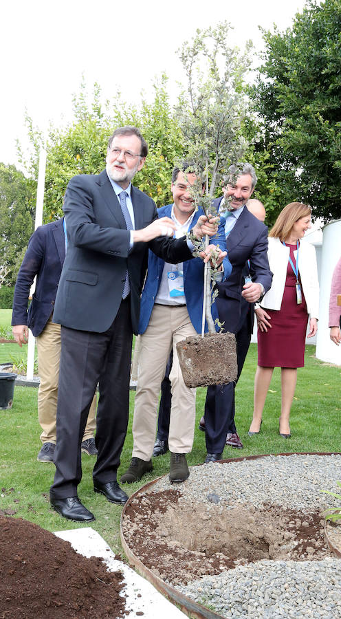 Fotos: Convención Nacional del PP en Sevilla