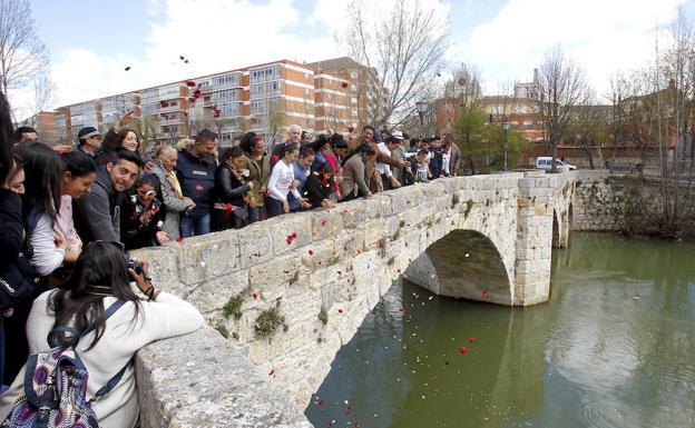 Celebración del Día del Gitano en Palencia en 2016.