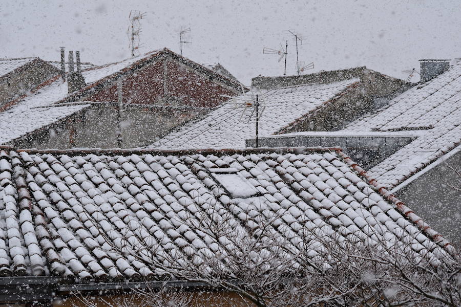 Fotos: La nieve vuelve a Aguilar