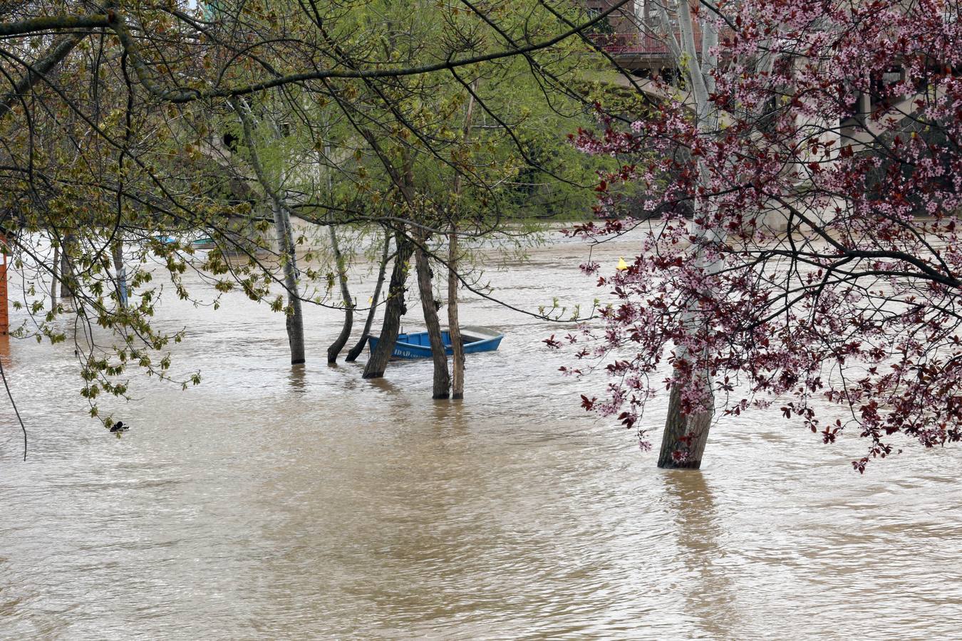 Crece el río a su paso por la capital, pero sin riesgo de desbordarse.