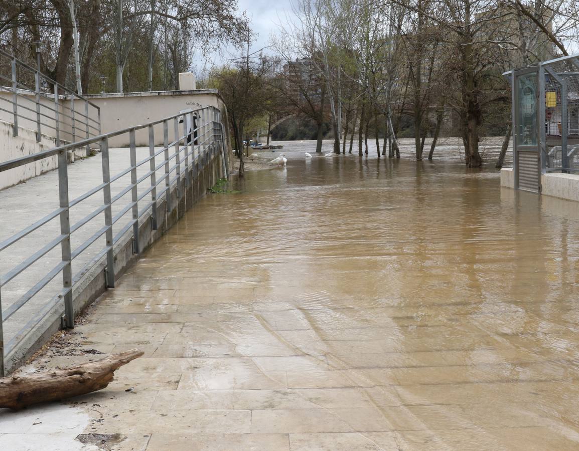 Crece el río a su paso por la capital, pero sin riesgo de desbordarse.