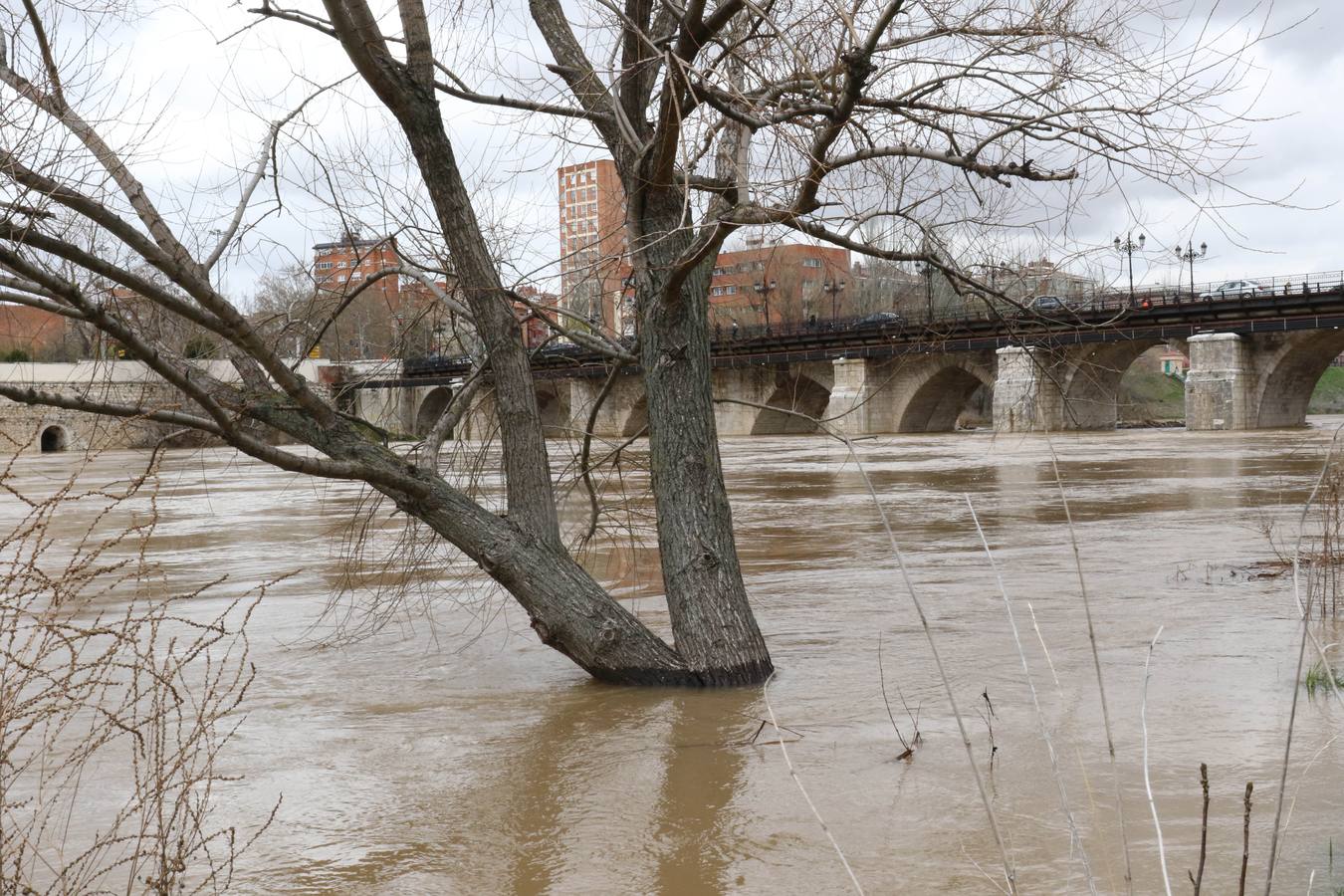 Crece el río a su paso por la capital, pero sin riesgo de desbordarse.