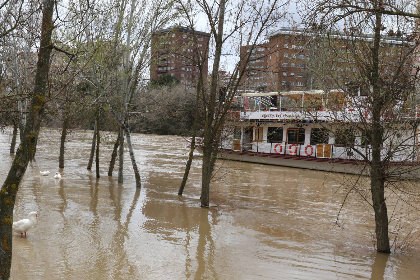 Crece el río a su paso por la capital, pero sin riesgo de desbordarse.