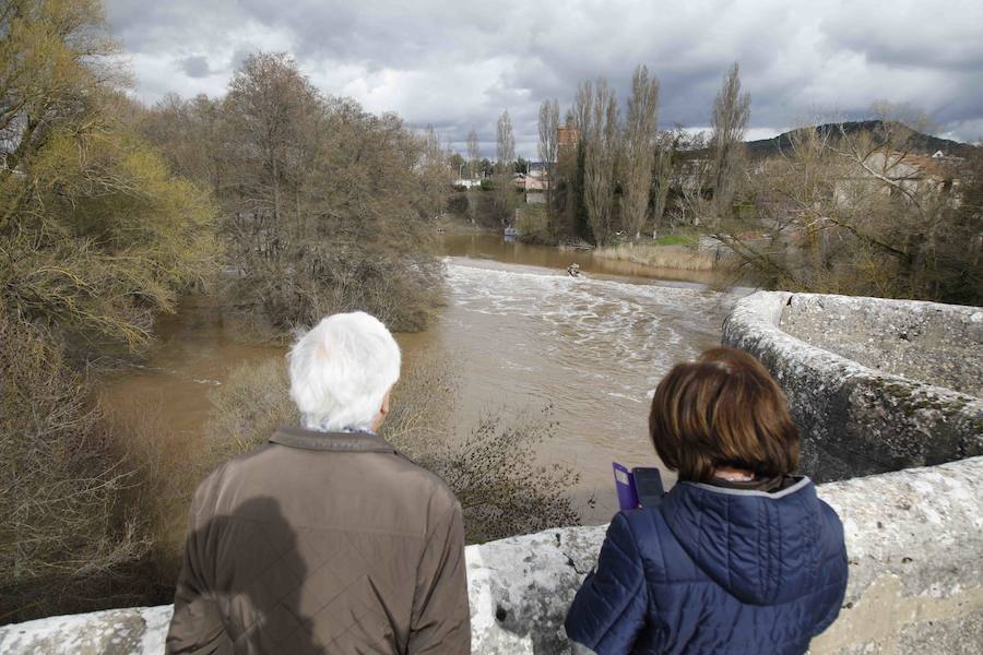 El Duero a su paso por Quintanilla. 