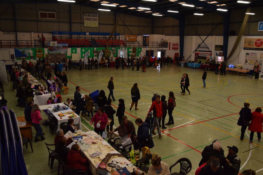 Fotos: Feria de Asociaciones de Guardo