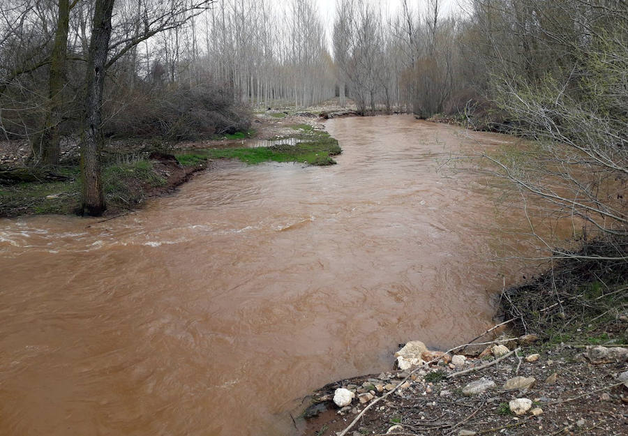 Fotos: Desbordamiento de los ríos Eresma, Duratón y Riaza en la provincia de Segovia