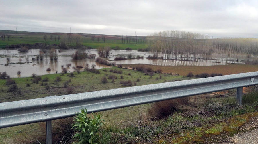 Fotos: Desbordamiento de los ríos Eresma, Duratón y Riaza en la provincia de Segovia