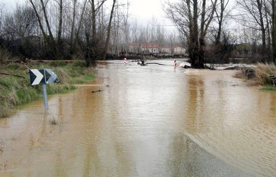 Fotos: Desbordamiento de los ríos Eresma, Duratón y Riaza en la provincia de Segovia