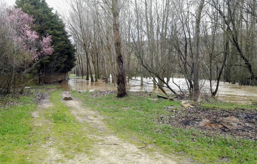 Fotos: Desbordamiento de los ríos Eresma, Duratón y Riaza en la provincia de Segovia