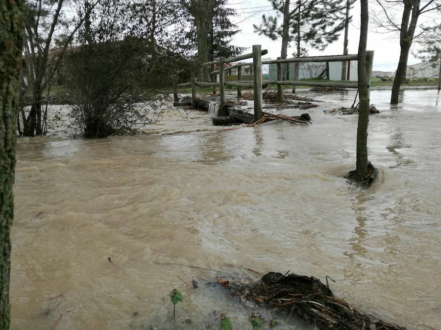 Fotos: Desbordamiento de los ríos Eresma, Duratón y Riaza en la provincia de Segovia