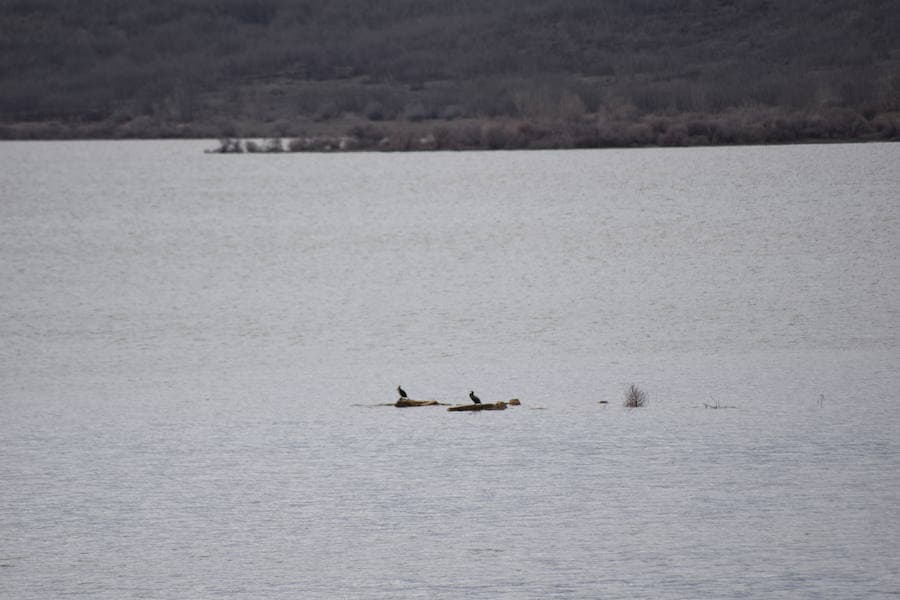 Fotos: Un paseo por los entornos del pantano de Aguilar