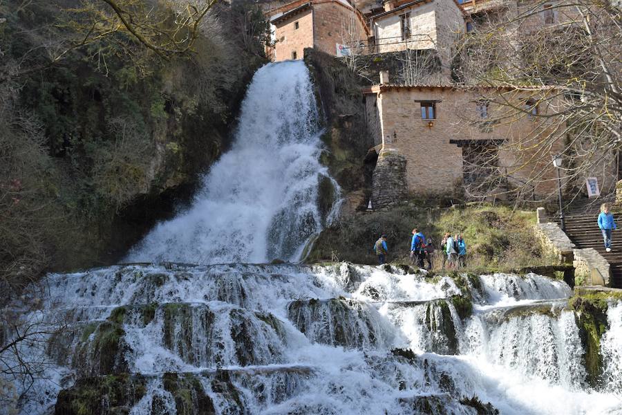 Fotos: Las imágenes que deja el deshielo en Palencia