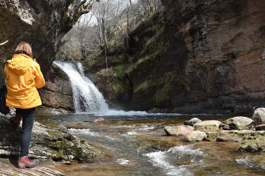 Fotos: Las imágenes que deja el deshielo en Palencia