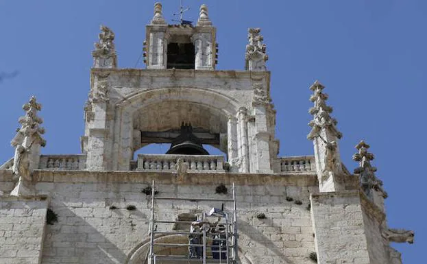 Campanario de la catedral de Palencia. 