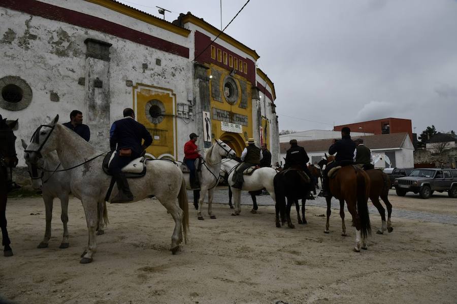 Fotos: Feria de Abril en El Espinar