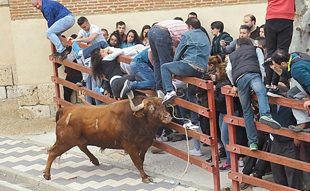El toro embiste contra una de las talanqueras, donde resultaron heridas dos jóvenes. 