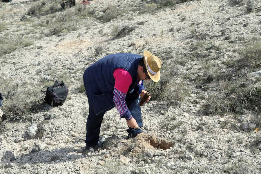 Fotos: Jornada de reforestación en Cevico Navero