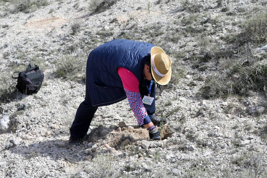 Fotos: Jornada de reforestación en Cevico Navero
