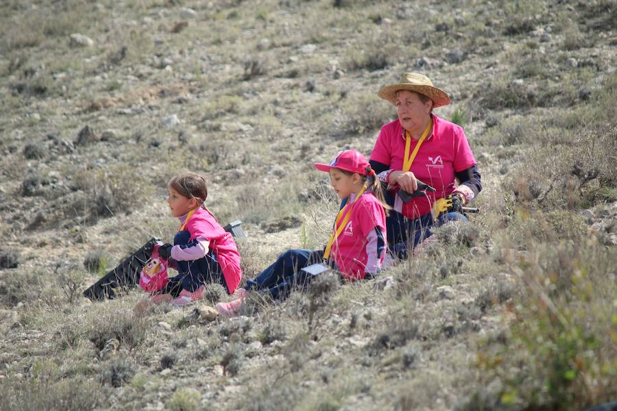 Fotos: Jornada de reforestación en Cevico Navero