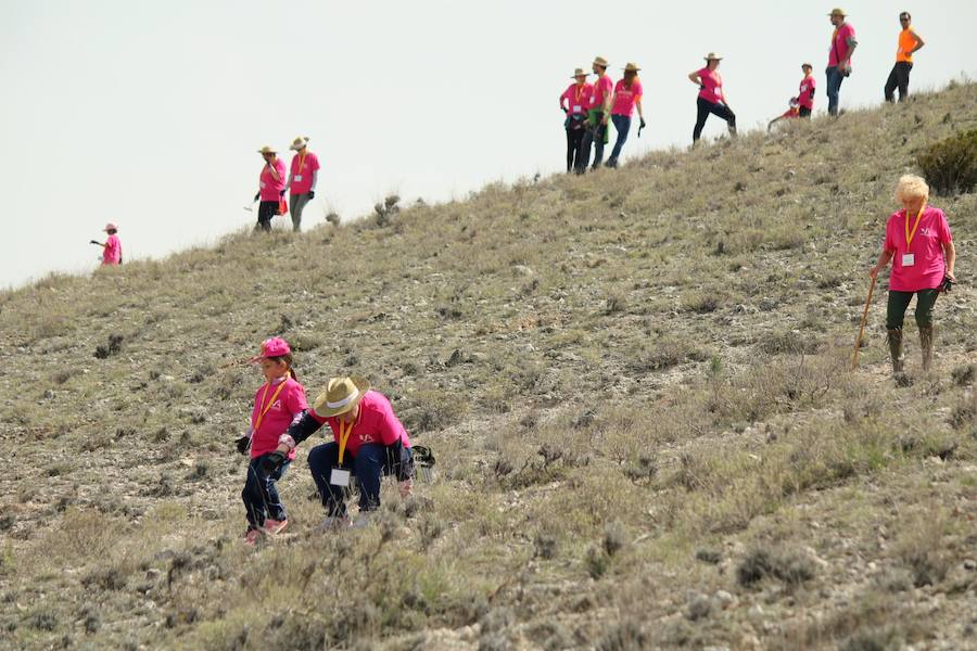 Fotos: Jornada de reforestación en Cevico Navero