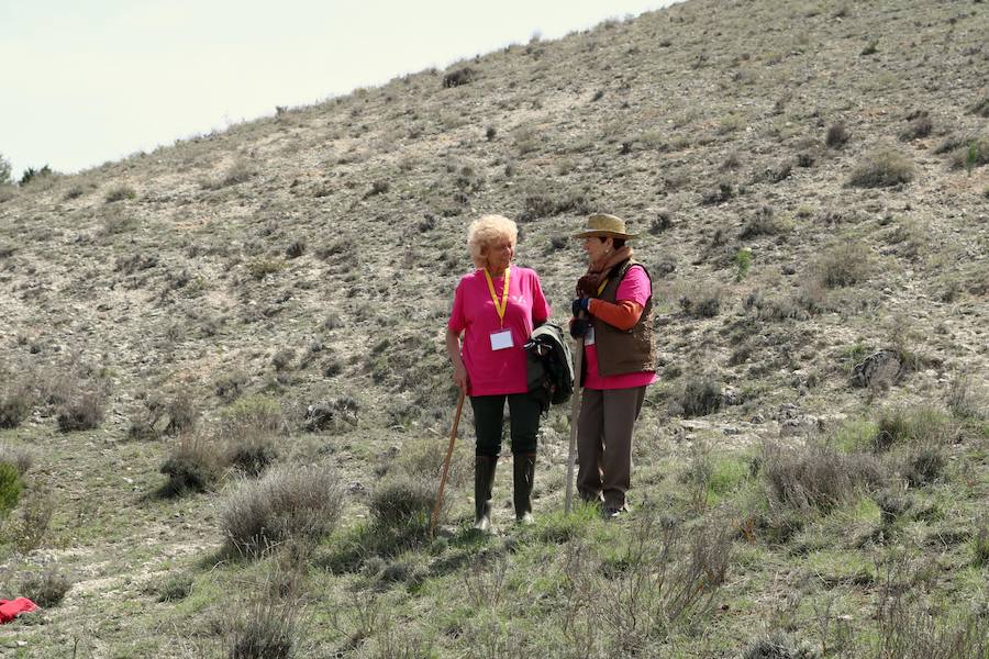 Fotos: Jornada de reforestación en Cevico Navero