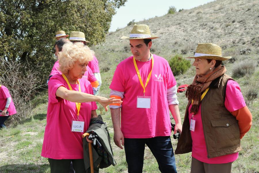 Fotos: Jornada de reforestación en Cevico Navero