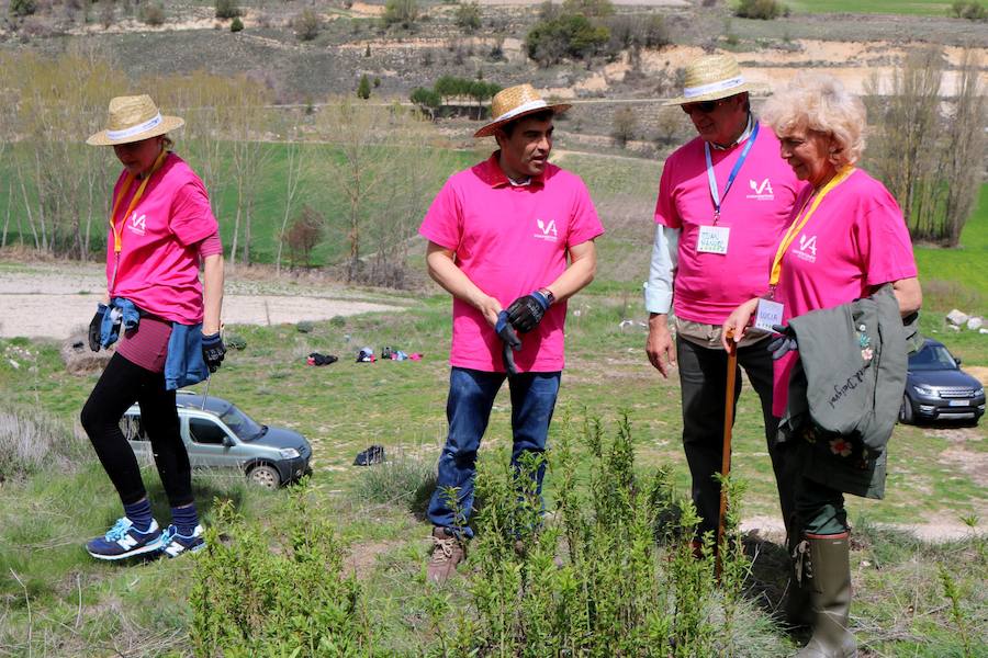 Fotos: Jornada de reforestación en Cevico Navero