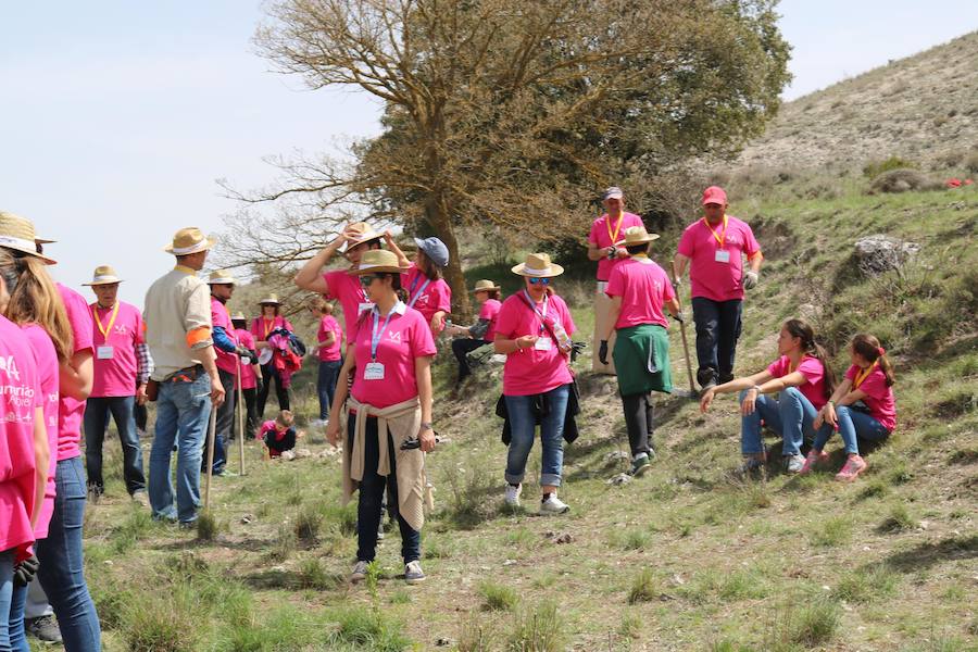 Fotos: Jornada de reforestación en Cevico Navero